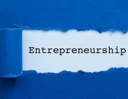 Antreprenoriatul romanesc, incotro? Consiliul National al IMM-urilor: inregistram un nivel moderat al sistemului antreprenorial.