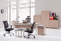 Top Firme 2022 – Fabricarea de mobila pentru birouri si magazine  – cod CAEN 3101