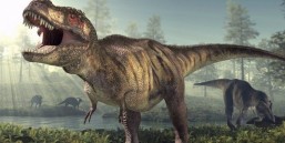De ce animalele de azi nu mai au dimensiunile dinozaurilor