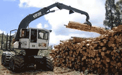 Prelucrarea lemnului – topul companiilor