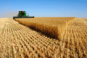 Top 10 companii din industria agricola 2014